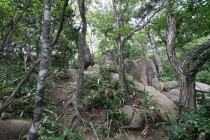 ラクダに似たスフィンクス岩