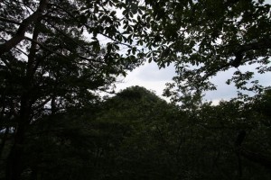 鬼叫山から見た葦嶽山