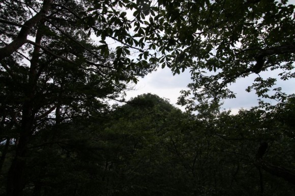 鬼叫山から見た葦嶽山