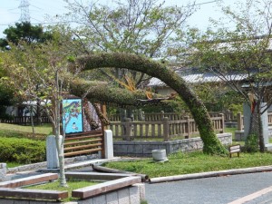 桜ヶ池　池宮神社