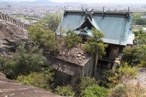 頂上部には砂がたまり木が生えている