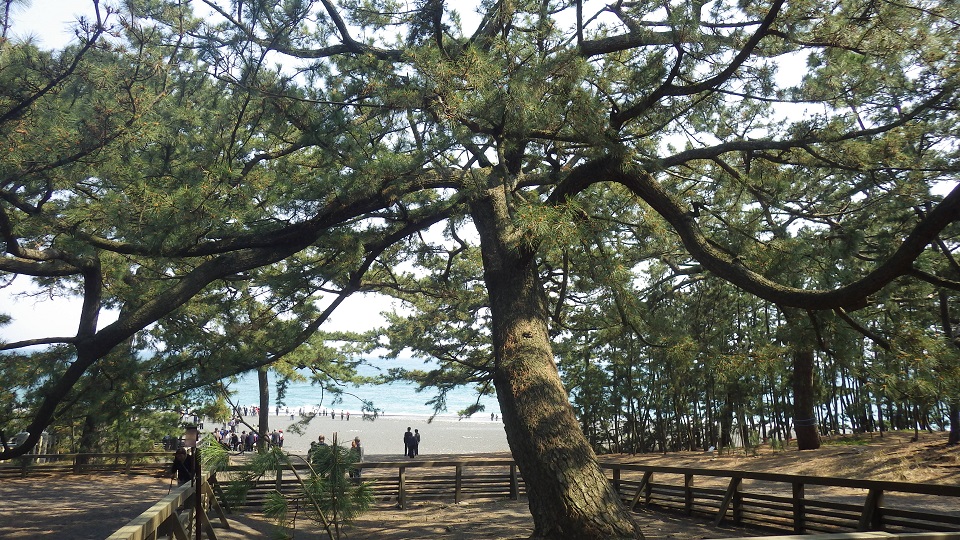 羽衣伝説と御穂神社