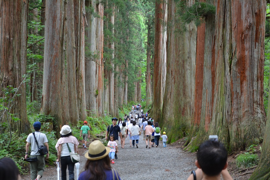 戸隠神社の九頭竜とヤマタノオロチ