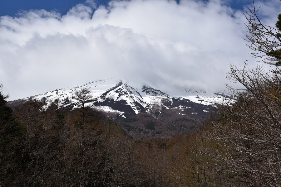 富士山と不死　謎の宮下文書